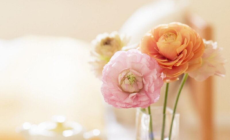 Pink and Orange Ranunculus