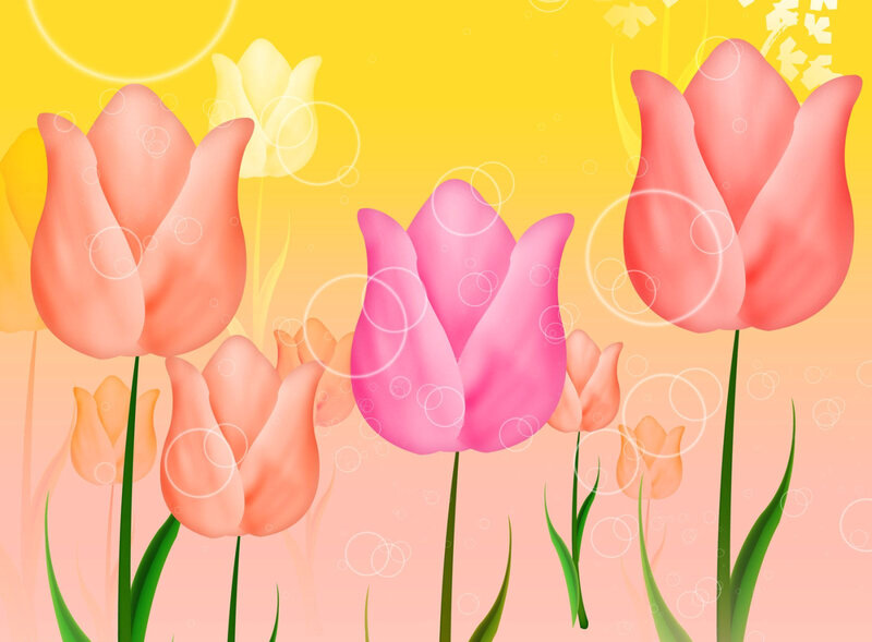 Pink and Orange Tulips — Yellow