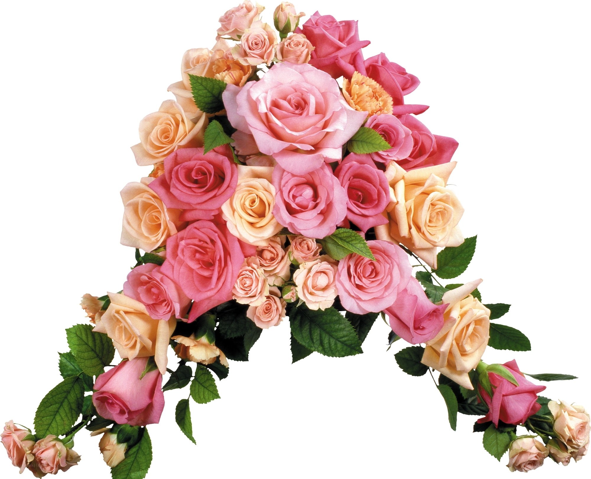 pink and peach rose bouquet