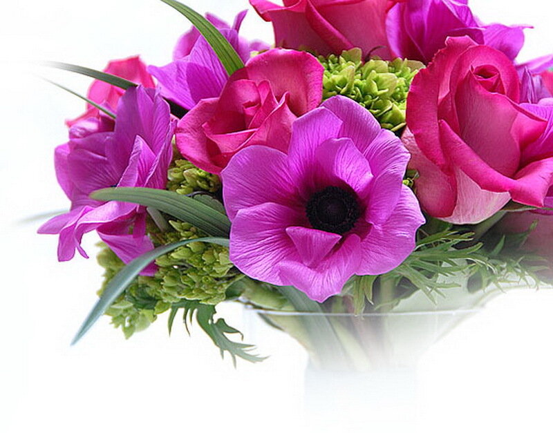 Pink and Purple Flowers — Calm