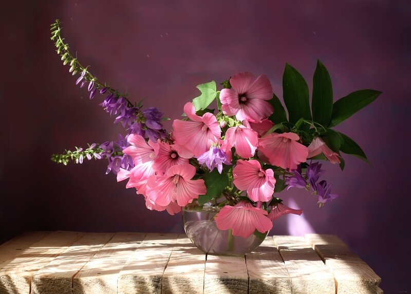 Pink and Purple Flowers — Dramatic, Afternoon