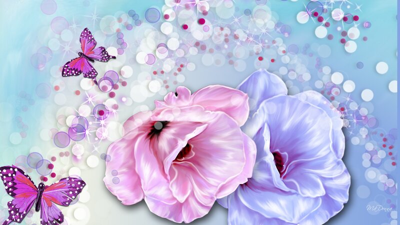 Pink and Purple Flowers — Dreamy