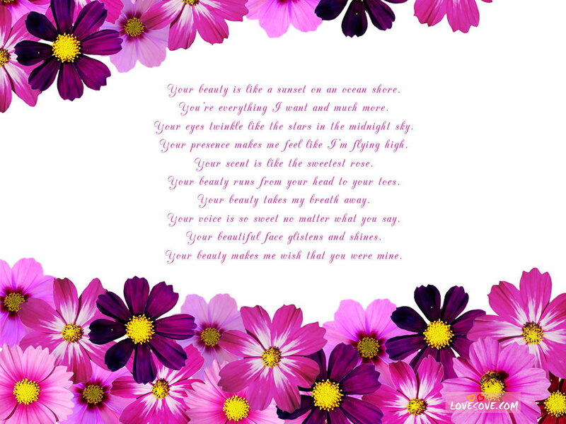 Pink and Purple Flowers — Romantic