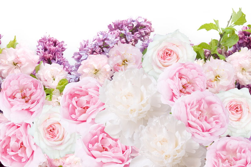Pink and Purple Flowers — Serene, Spring, Photograph, Roses