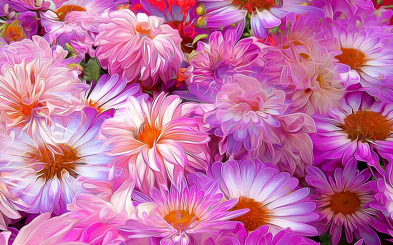 Pink and Purple Flowers — Vibrant, Digital Art