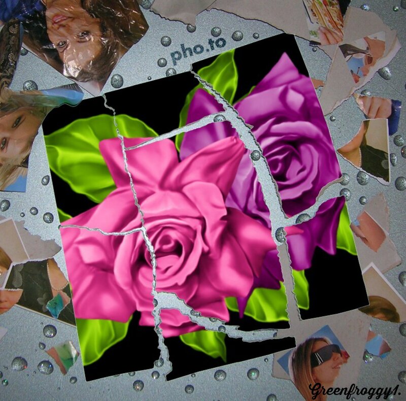 Pink and Purple Roses — Vibrant