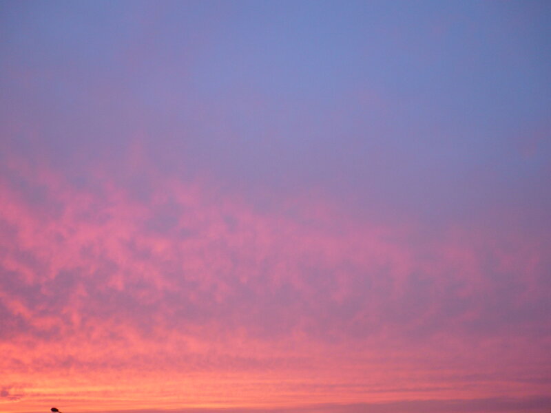 Pink and Purple Sky