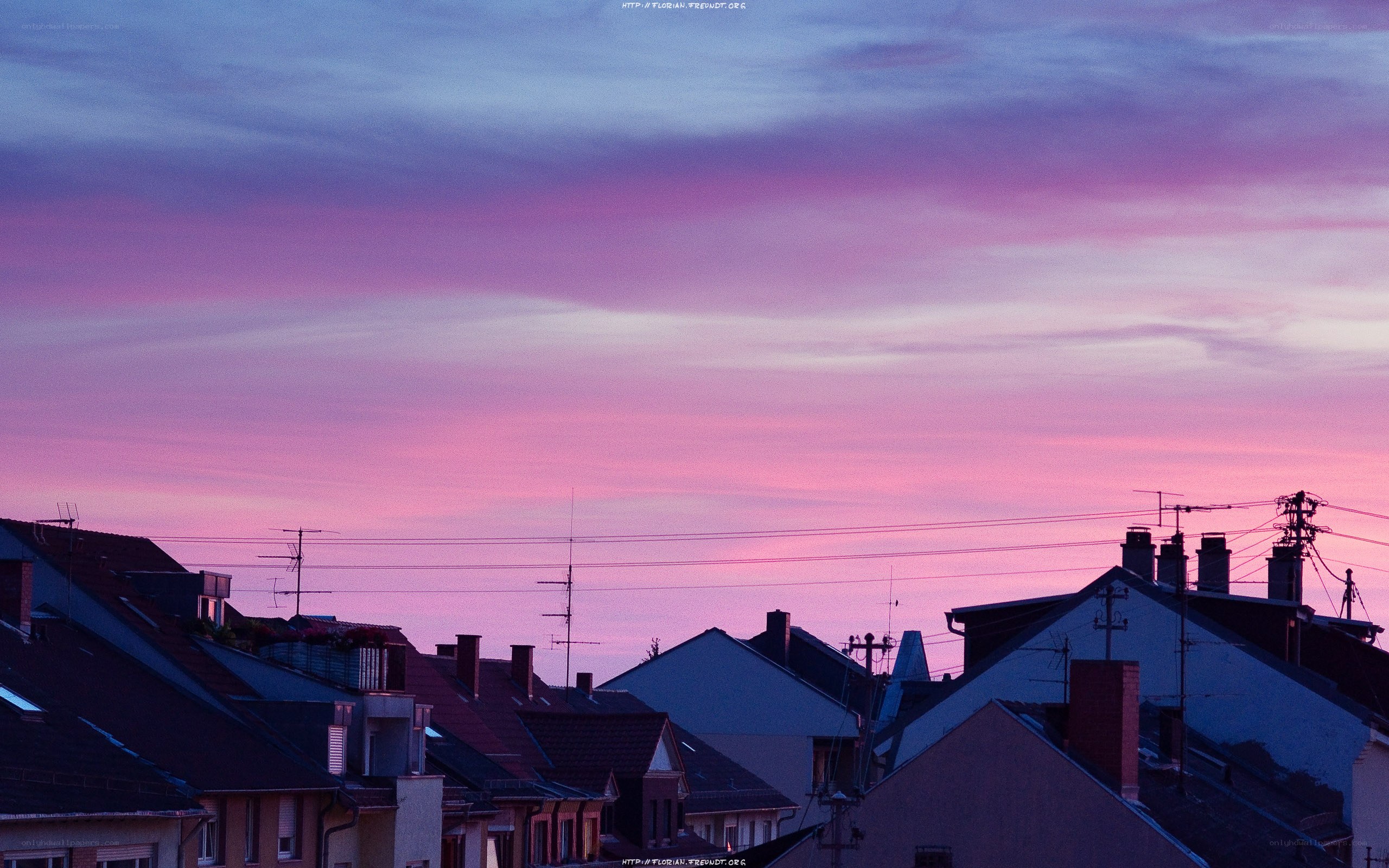 Pink and purple sunset over rooftops