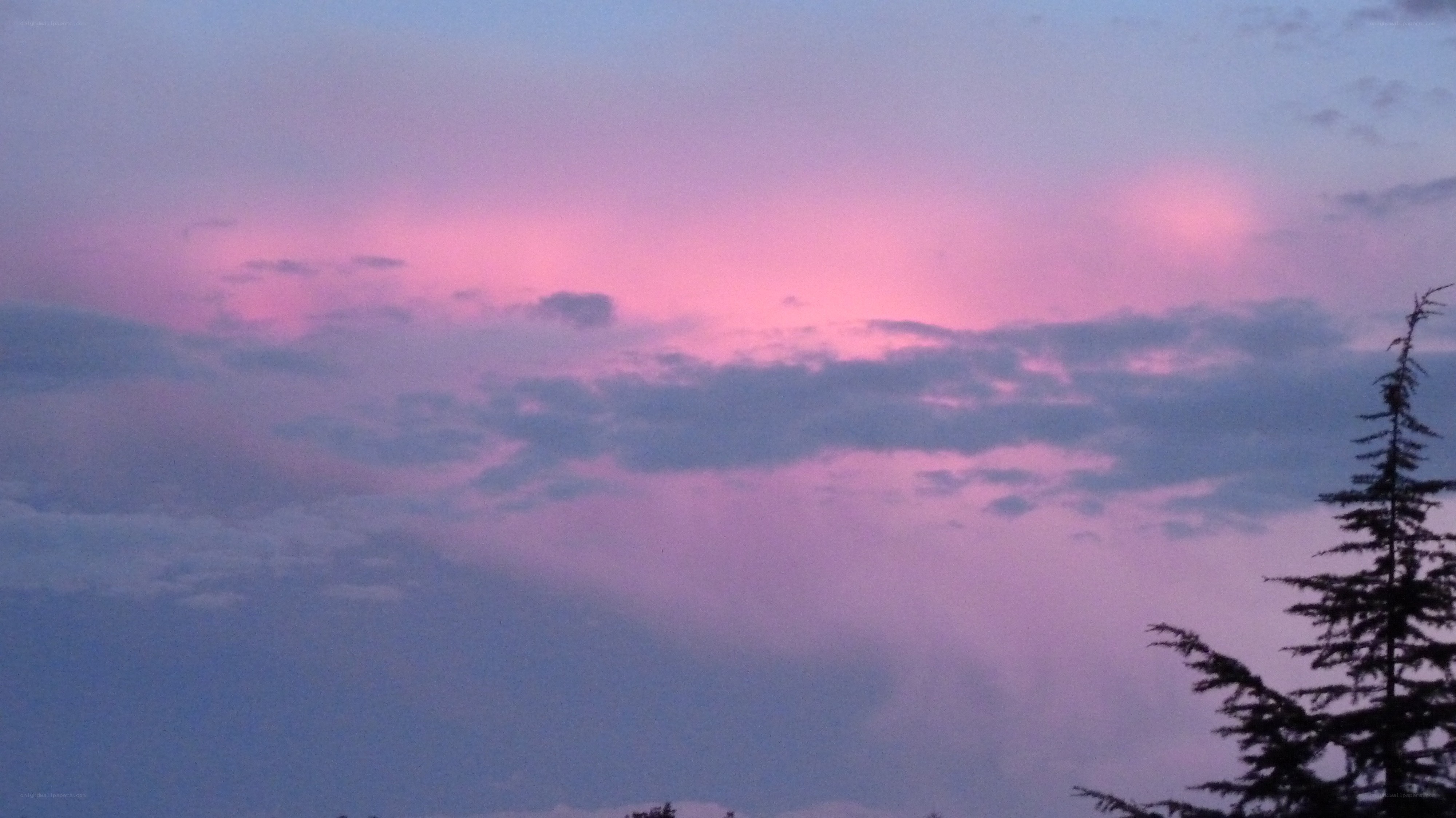 Pink and purple sunset sky