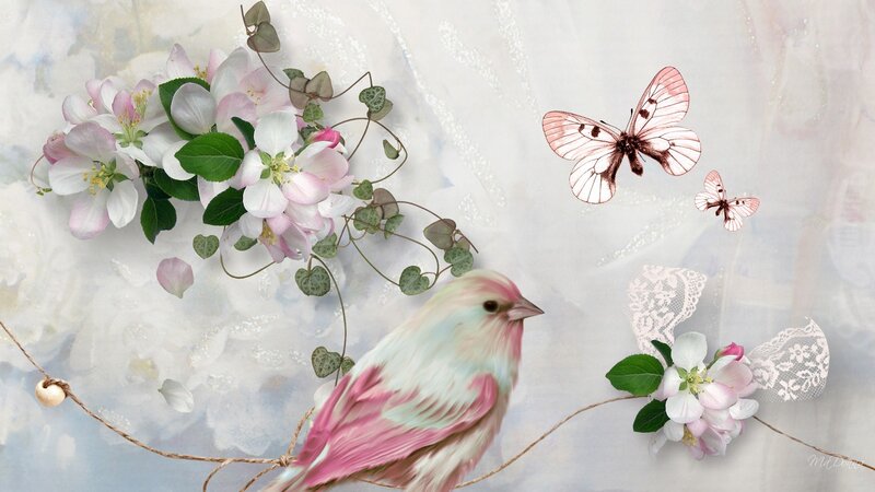 Pink and White Bird