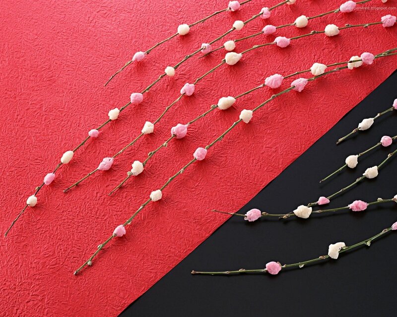 Pink and white blossoms on red black