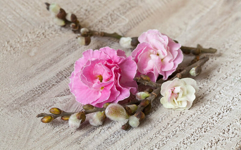 Pink and White Blossoms — Serene, Spring, Photograph, Branches