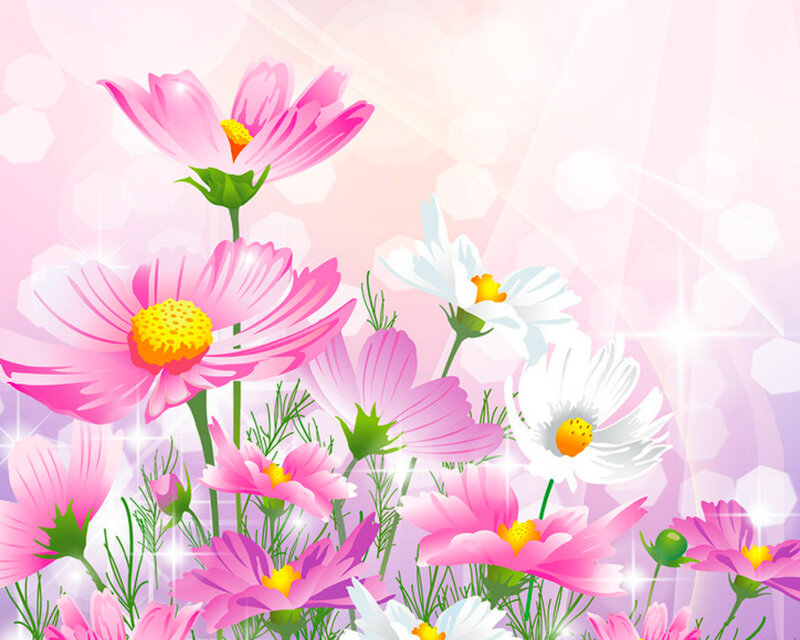 Pink and White Cosmos Flowers — Cheerful, Spring, Digital Art