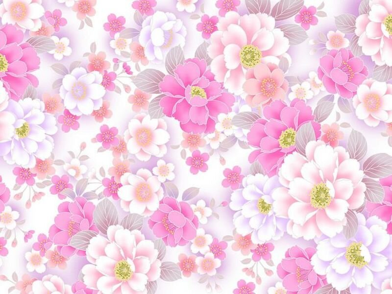 Pink and White Floral Pattern — Calm