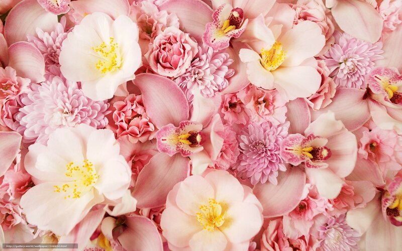 Pink and white flower arrangement