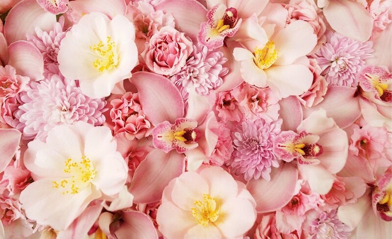 pink and white flower arrangement
