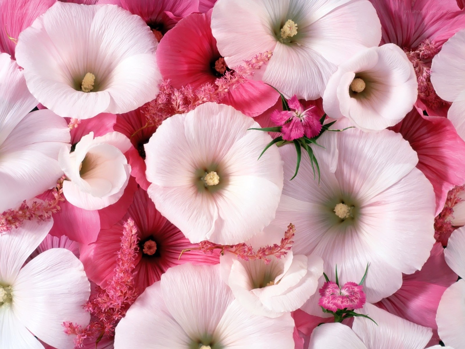 Pink and white flower arrangement