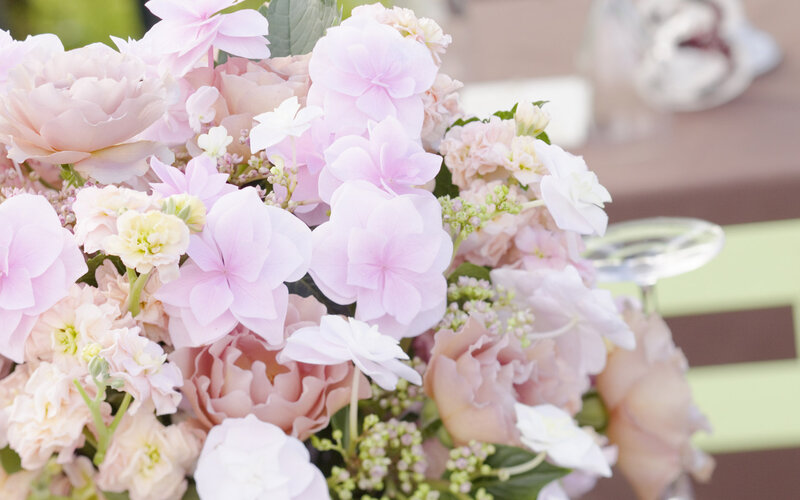 Pink and White Flower Bouquet — Calm, Afternoon, Photograph