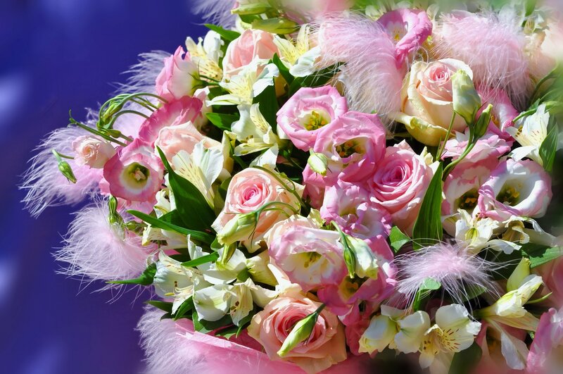 Pink and White Flower Bouquet — Festive