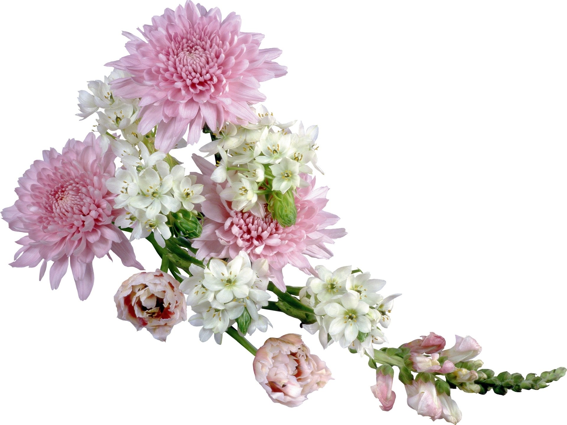 pink and white flower bouquet
