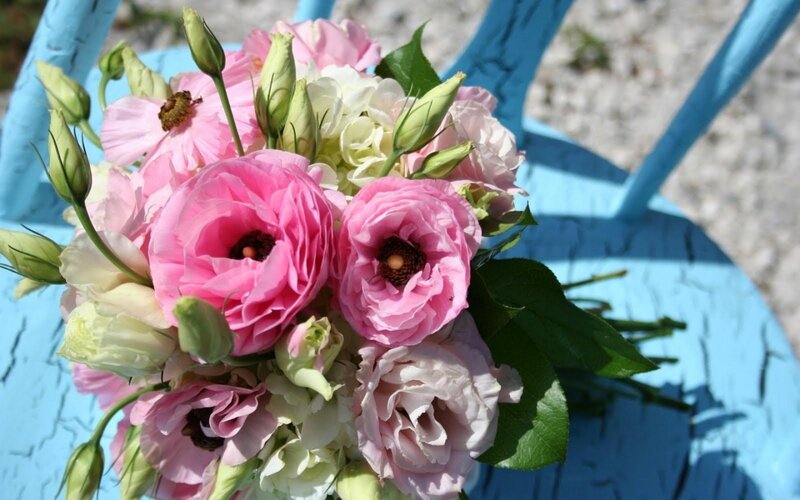 Pink and White Flowers — Calm, Afternoon, Photograph, Bouquet