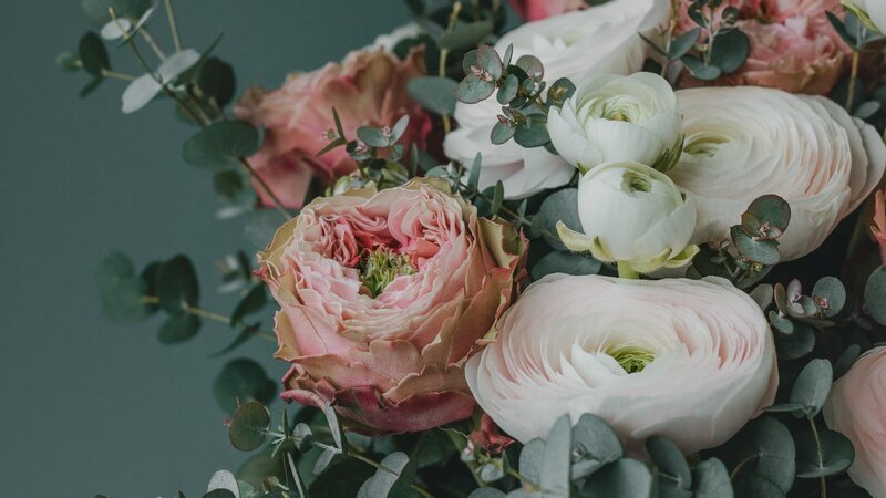 Pink and White Flowers — Calm, Photograph, Eucalyptus