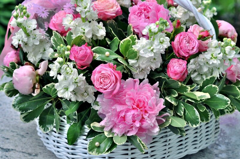 Pink and White Flowers — Calm, Spring, Photograph, Basket