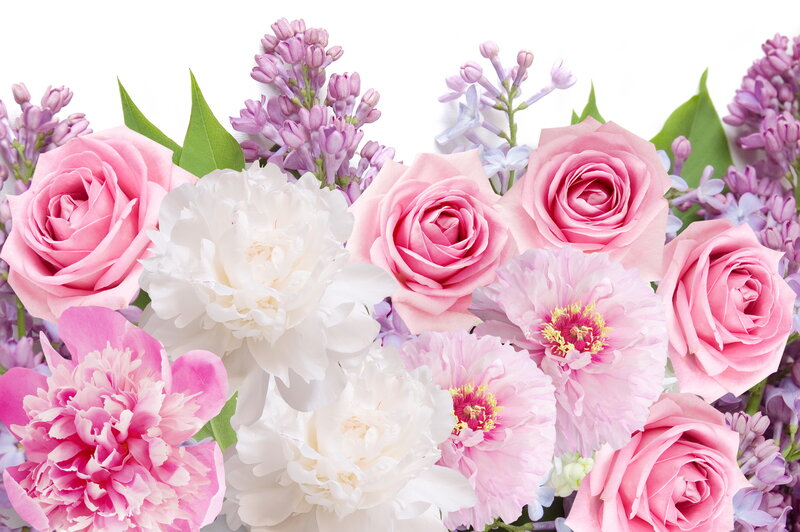 Pink and White Flowers — Calm, Spring, Photograph, Roses