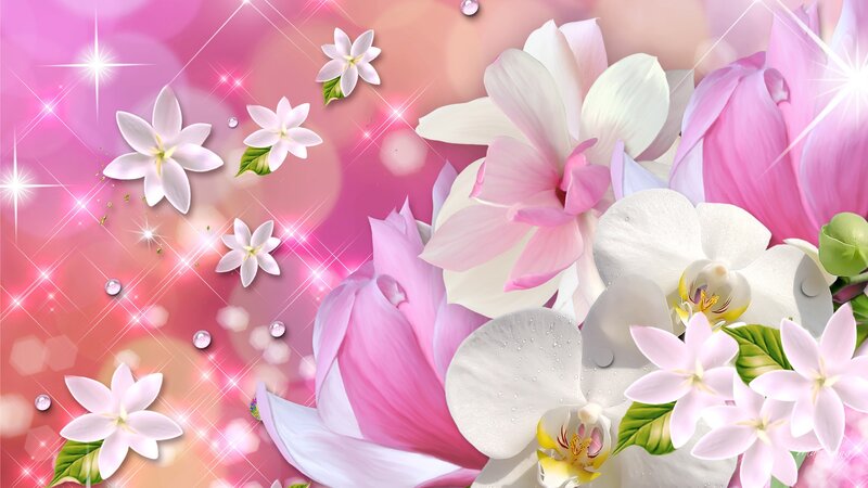 Pink and White Flowers — Dreamy