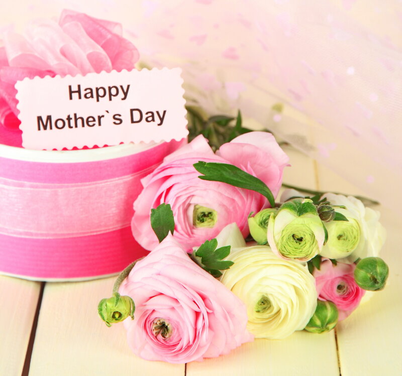 Pink and White Flowers — Festive, Photograph