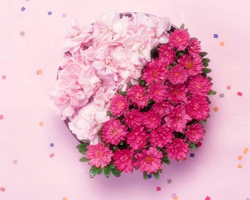 Pink and White Flowers — Festive