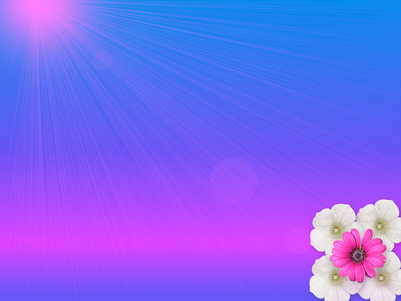 Pink and White Flowers — Purple