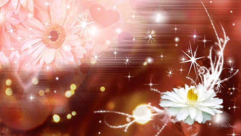 Pink and White Flowers — Red, Romantic