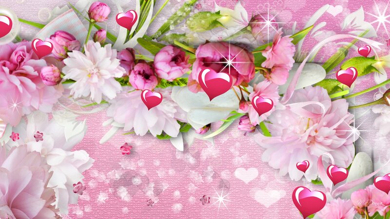 Pink and White Flowers — Romantic