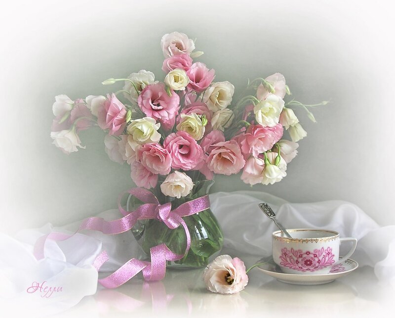 Pink and White Flowers — Serene, Photograph