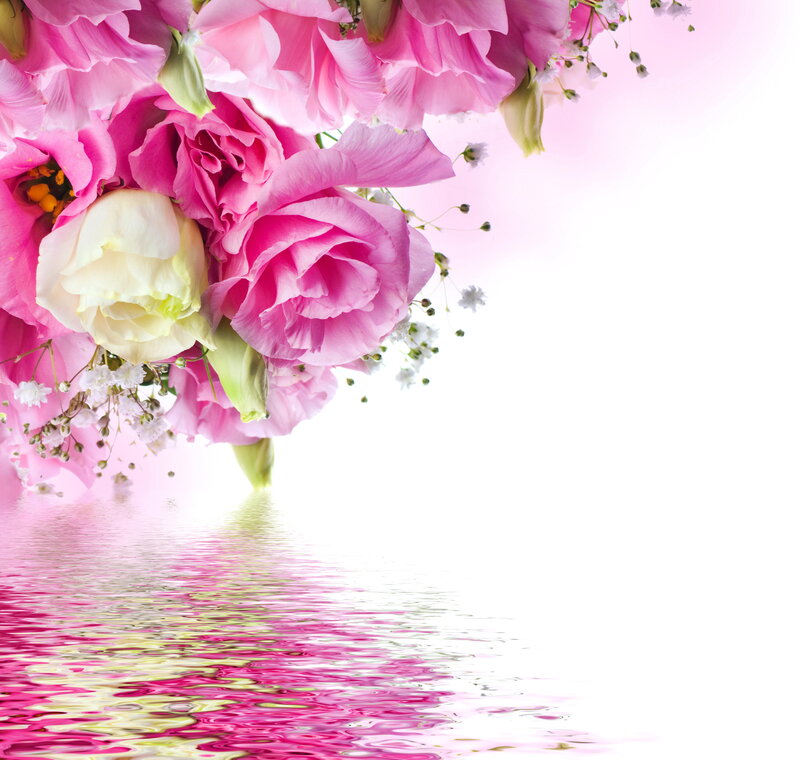 Pink and White Flowers — Serene, Photograph, Water, Reflection