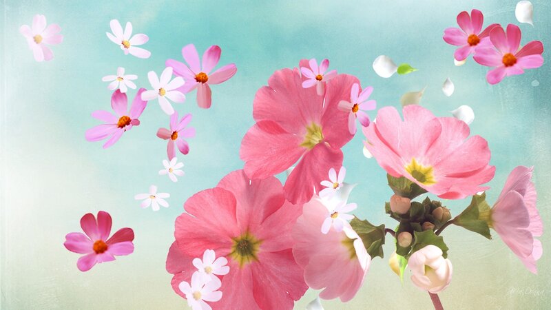 Pink and White Flowers — Serene, Spring, Digital Art