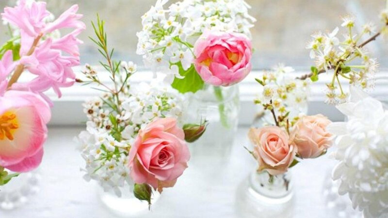 Pink and White Flowers — Serene, Spring, Photograph, Roses, Hyacinths