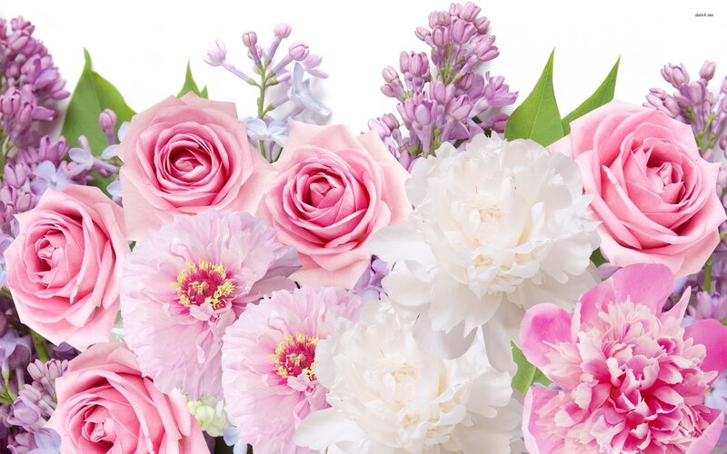 Pink and White Flowers — Serene, Spring, Photograph, Roses, Peonies