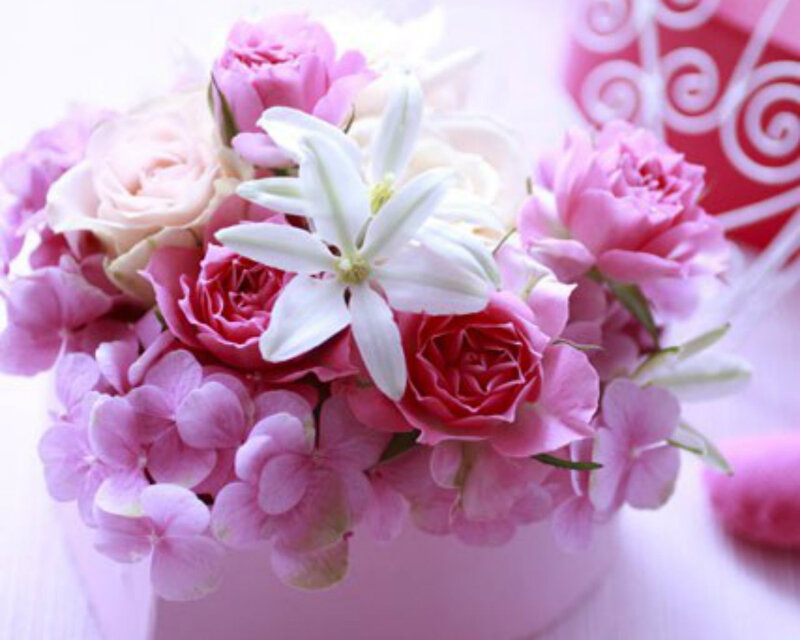 Pink and White Flowers — Soft