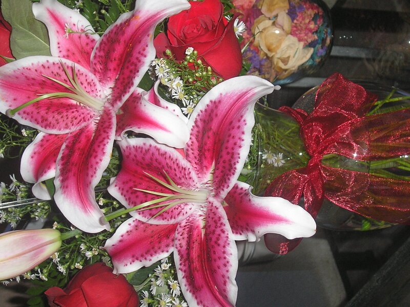 Pink and White Lilies — Festive, Photograph