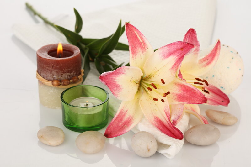 Pink and White Lily