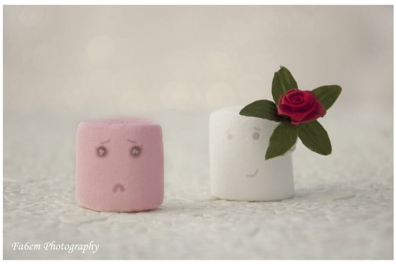 Pink and White Marshmallows — Whimsical