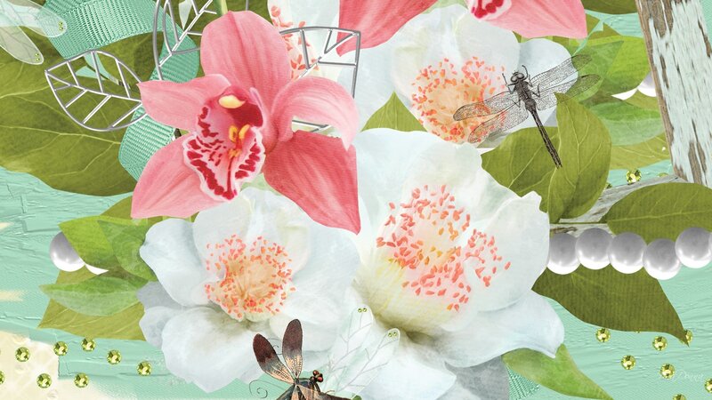 Pink and White Orchids — Green