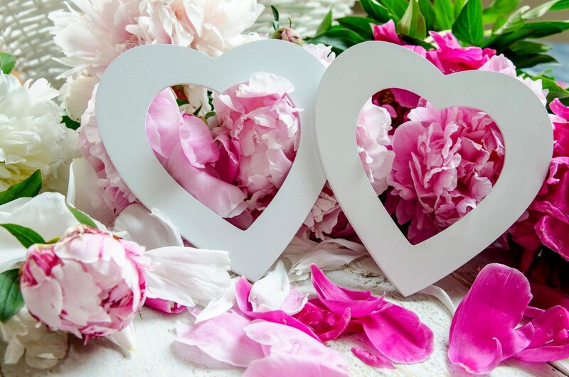 Pink and White Peonies — Romantic