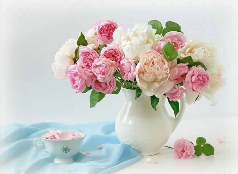 Pink and White Peonies — Serene, Photograph