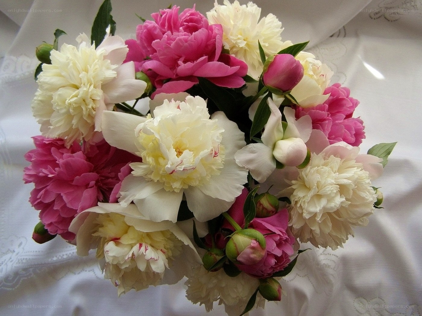 Pink and white peony bouquet