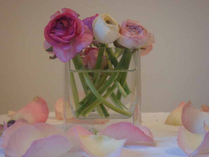 Pink and White Ranunculus — Calm
