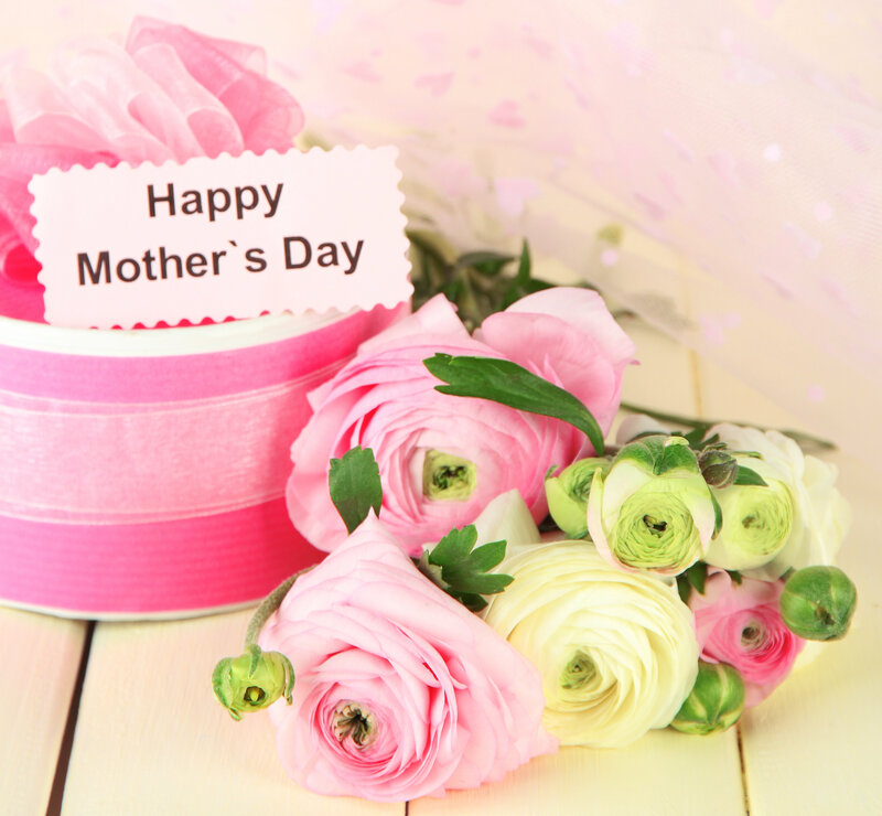 Pink and White Ranunculus — Festive