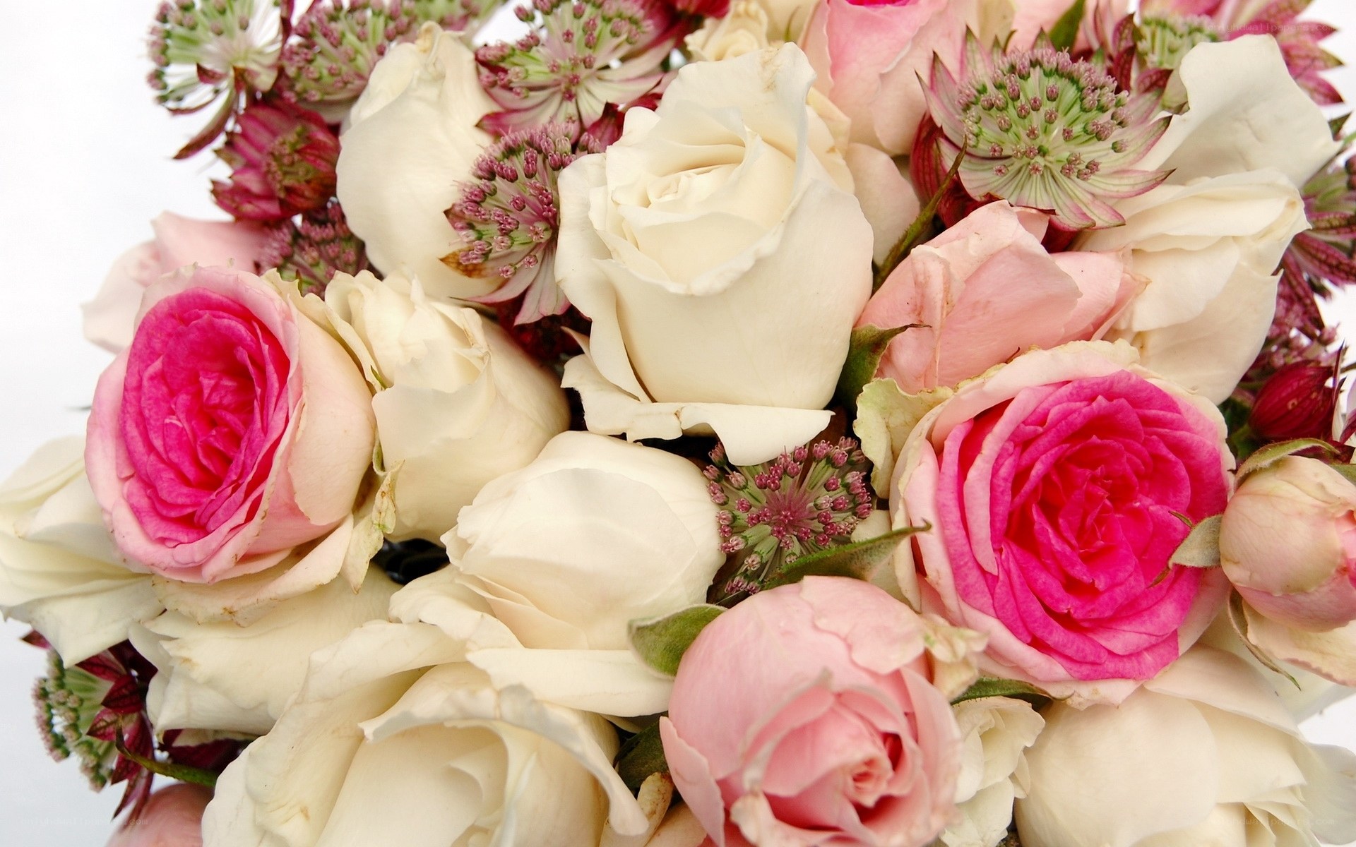 Pink and white rose bouquet